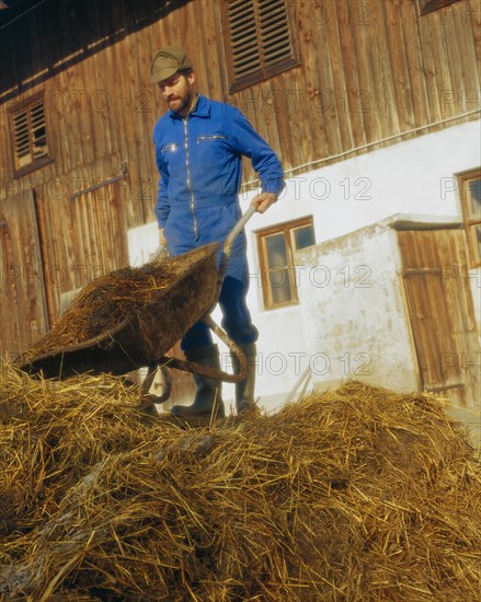 Farmer emptying a wheelbarrow with manure on the manure heap