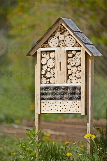 Insect hotel