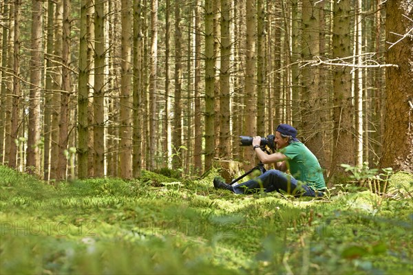 Photographer taking pictures in a spruce forest