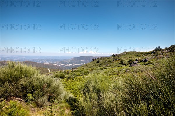 Landscape in the Douro region