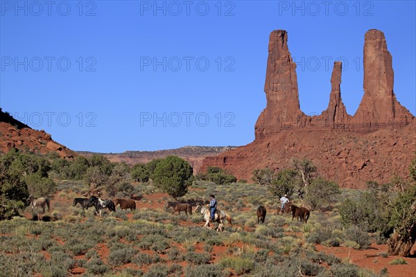 Navajo cowboys with Mustangs