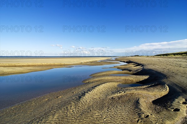 Landscape with dunes in the Deltapark region