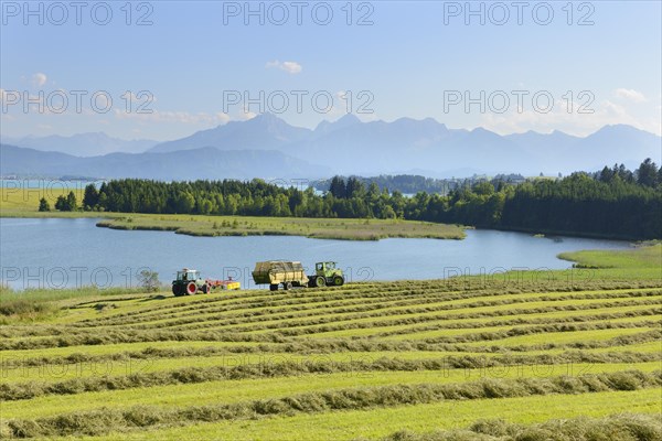 Illasbergsee lake