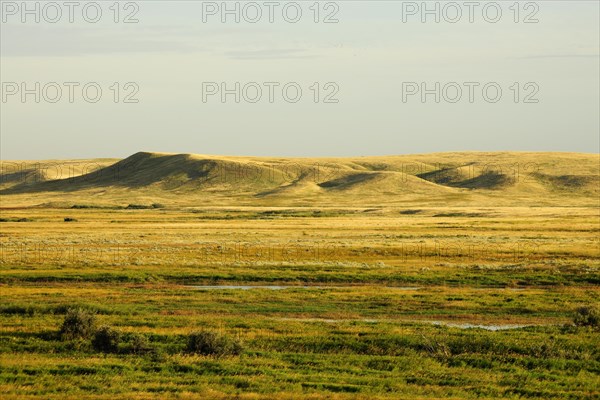 Gently rolling hills of the prairie landscape