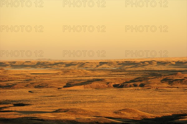 Prairie landscape in the evening light
