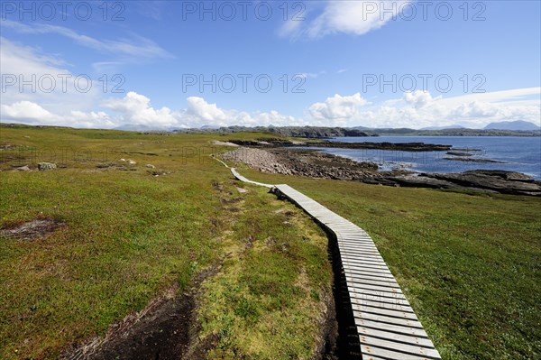 Boardwalk leading through the marshy areas around the island of Handa