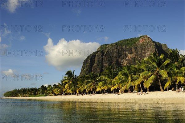 The Le Mont Brabant mountain rising behind palm trees on the sandy beach