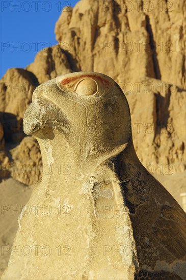 Horus statue on the ramp of the Temple of Hatshepsut