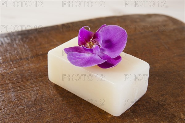 Orchid flower lying on a bar of soap