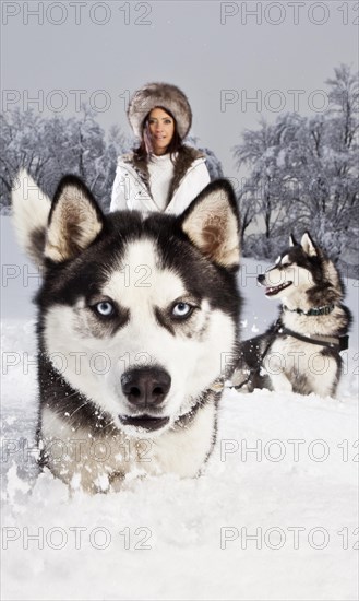 Young woman with huskies in the snow