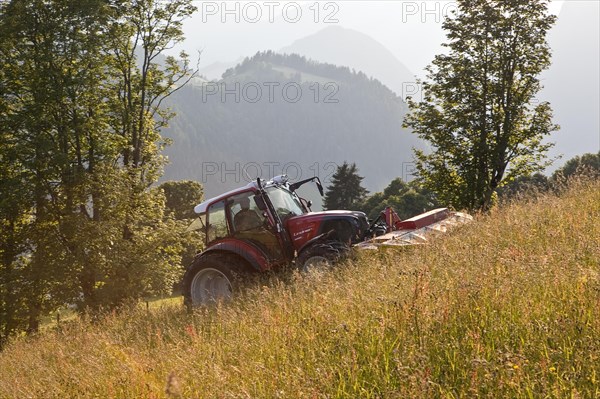 Tractor mowing hay