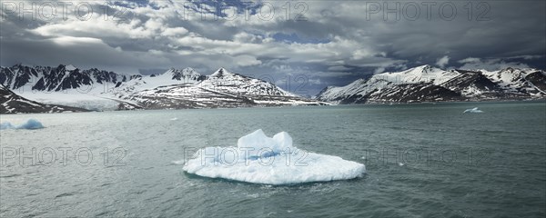 Liefdefjorden fjord with ice floe