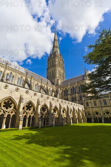 Cloister of the Cathedral