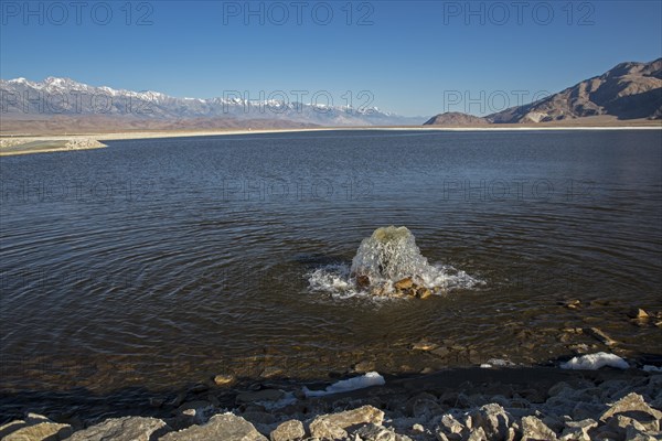 Owens Lake