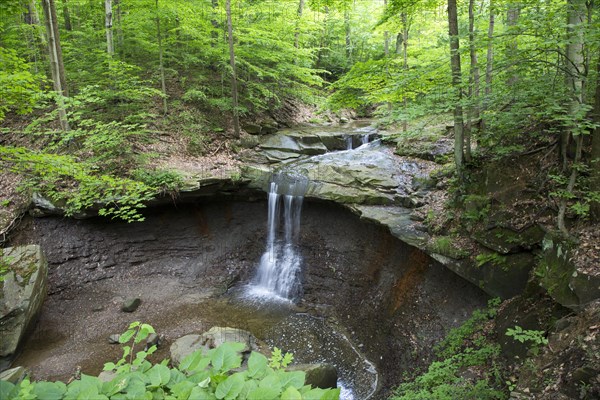 Blue Hen Falls