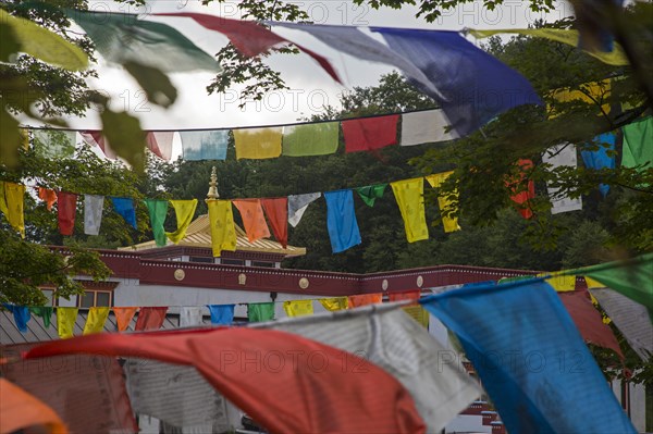 Prayer flags outside the Karma Triyana Dharmachakra