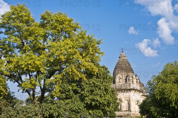 Parvati temple amidsts trees