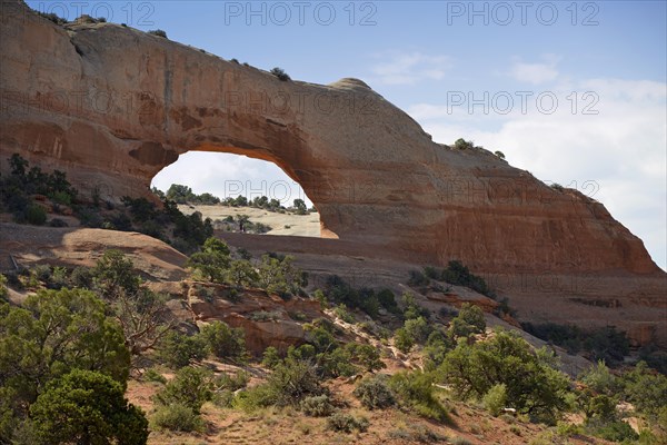 Wilson Arch