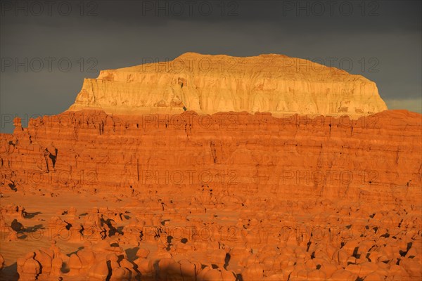 Wild Horse Mesa