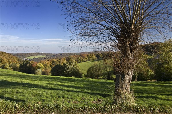 Autumnal landscape in Elfringhauser Schweiz region