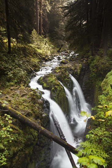 Sol Duc Falls in the Sol Duc River Valley