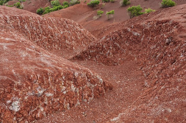 Red soil