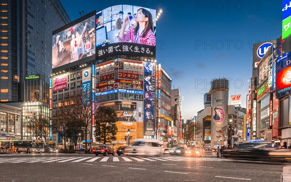 Shibuya Crossing