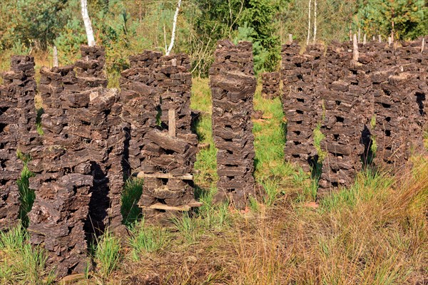 Stacks of peat sods left or drying in the traditional manner