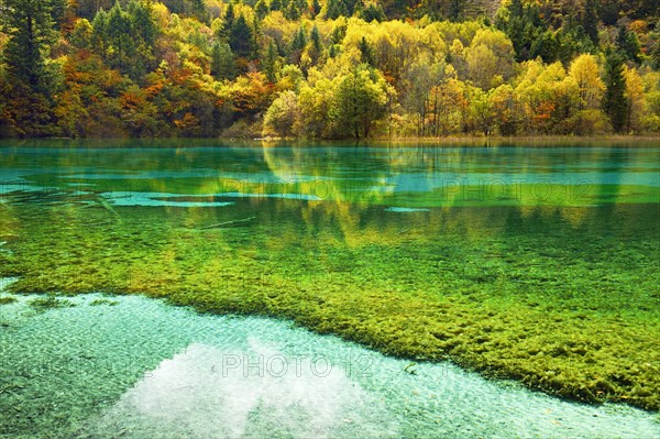 Five Flower Lake in autumnal environment