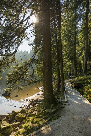 Hiking trail