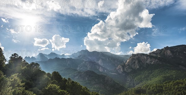 Rocky landscape with pines and cloudy sky