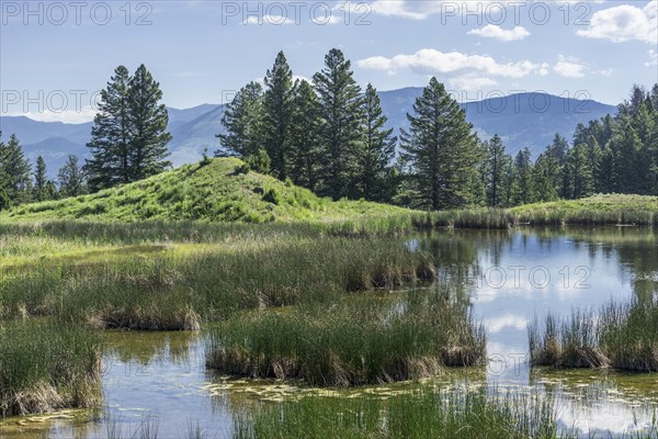 Pond at the Beaver Ponds Trail