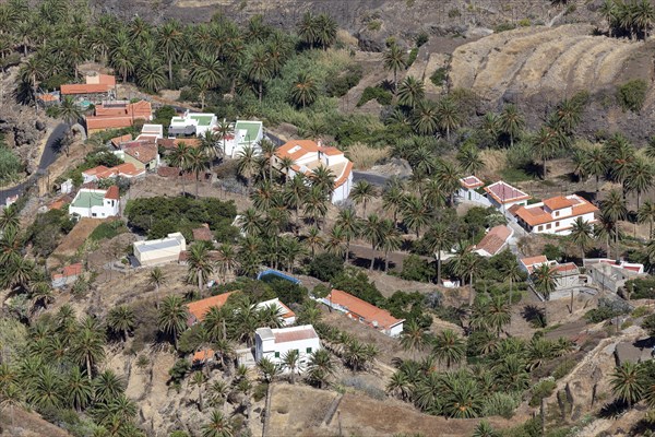 View from the Mirador of houses and the palm grove of Taguluche