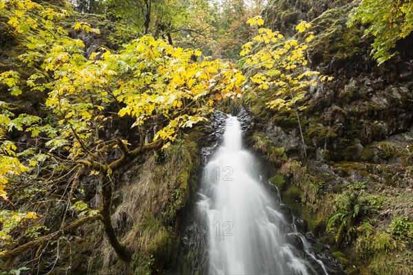 Fall Creek Falls