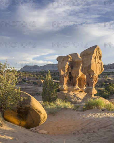 Rock formations in Devil's Garden