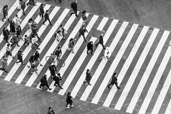 Shibuya crossing