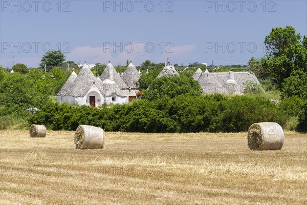 Stubble field