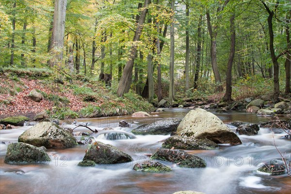 Ilsetal valley in autumn