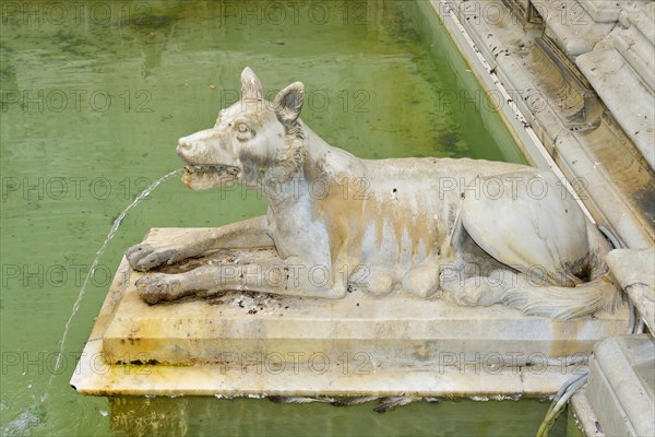 She-wolf spouting water in the Fonte Gaia fountain