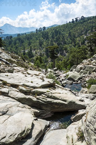 Pools in the river Golo