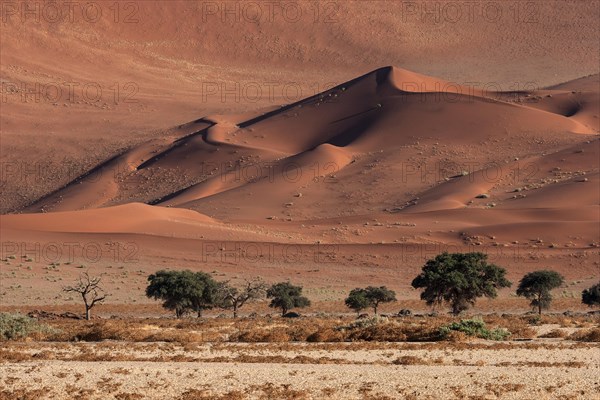 Sand dunes