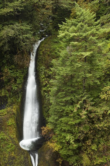 Waterfall at the Eagle Creek Trail