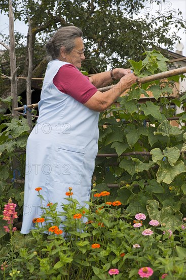 Farmer working on the farm