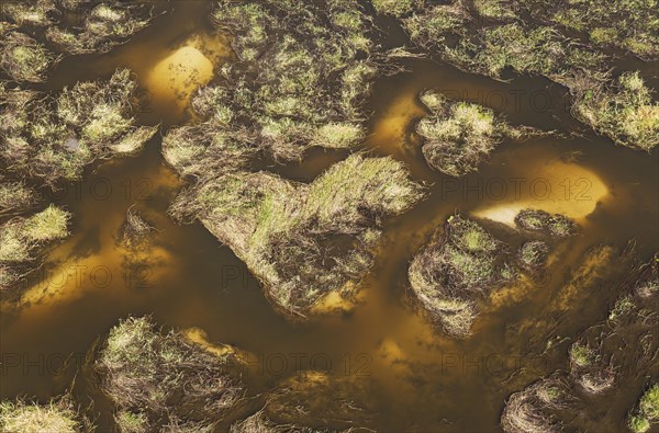 Freshwater marshes with sandy streams