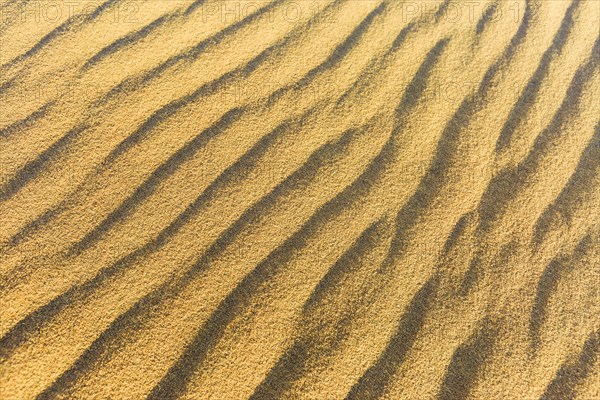 Wave pattern in the sand