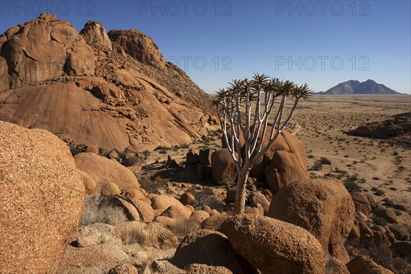 View from the Great Spitzkoppe