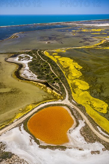 Salt patterns on the surface of salt marshes