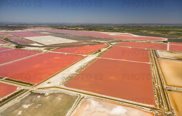 Salines