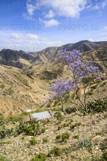 Mountain scenery along the road from Massawa to Asmarra