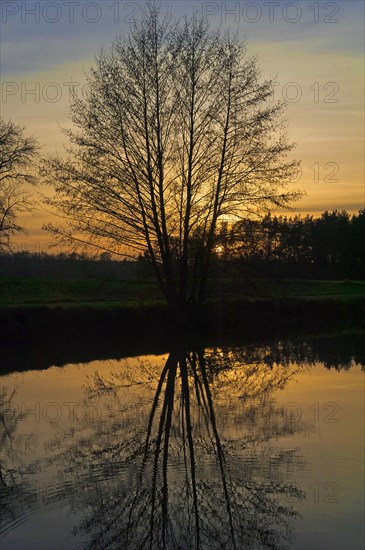 Evening atmosphere